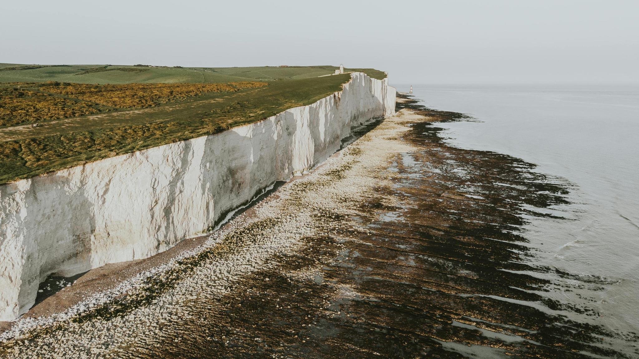 The cliffs of Dover, formed in the geological period of the Cretaceous, up to 65 million years ago, which also was a period of high atmospheric CO2 (photo: Pexels/Jack Redgate)