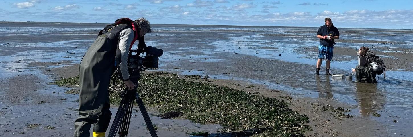 Een man met een camera en een man die knielt met een microfoon interviewen iemand op het wad van de Waddenzee.